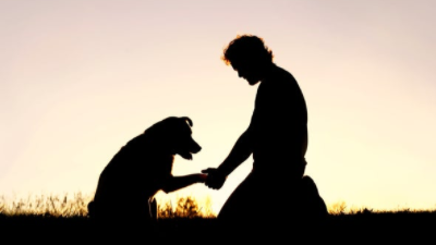 Why We Need to Take Pet Loss Seriously
